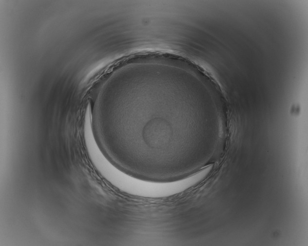 X0000112091064200908111347