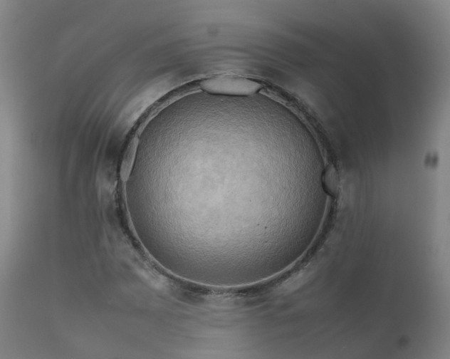 X0000112091065200908111347