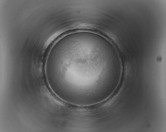 X0000112091066200908111347