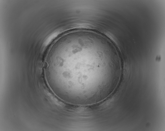 X0000112091067200908111347