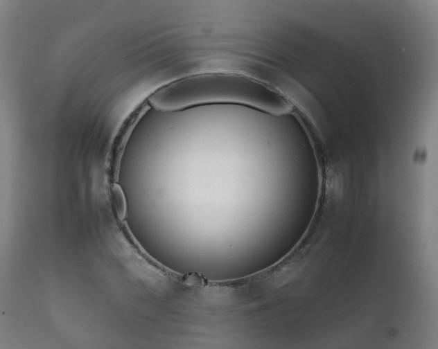 X0000112091068200908111347