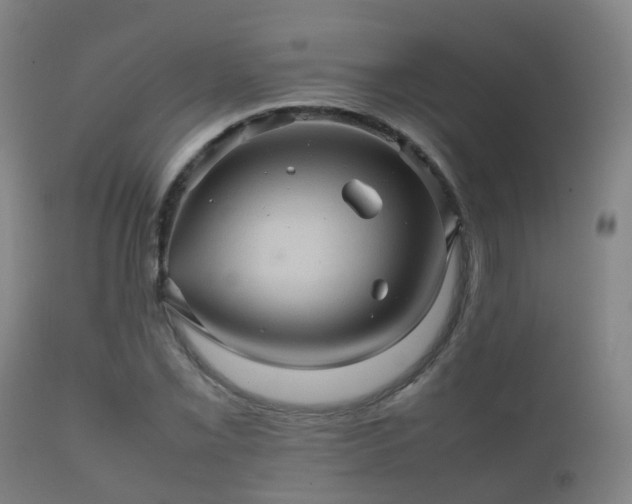 X0000112091069200908111347