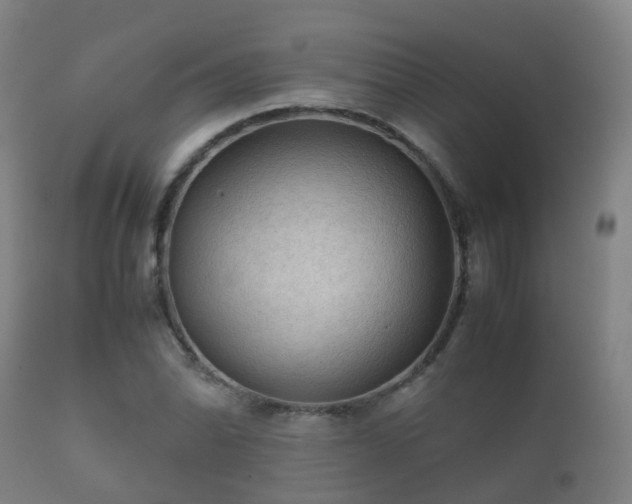 X0000112091070200908111347