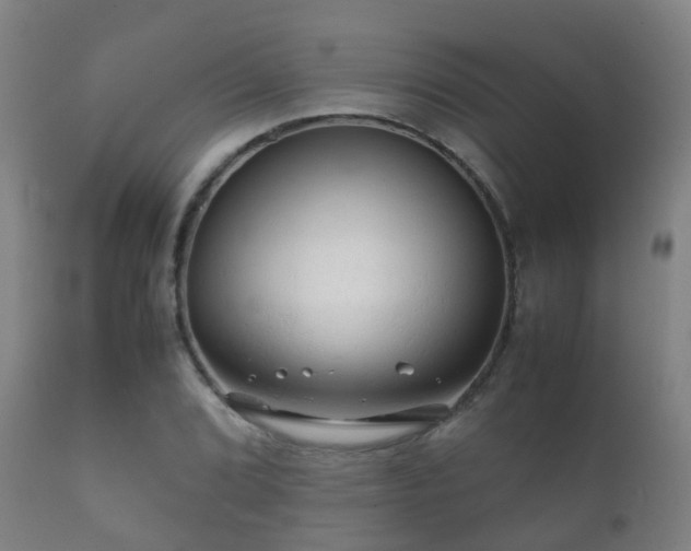 X0000112091072200908111347