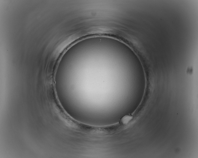 X0000112091073200908111347