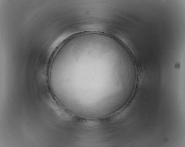 X0000112091074200908111347