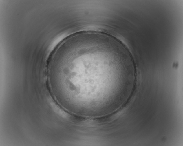 X0000112091075200908111347