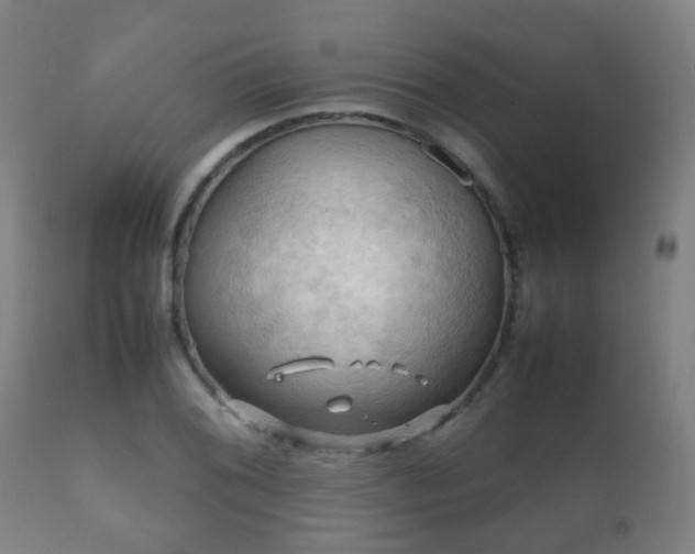 X0000112091076200908111347