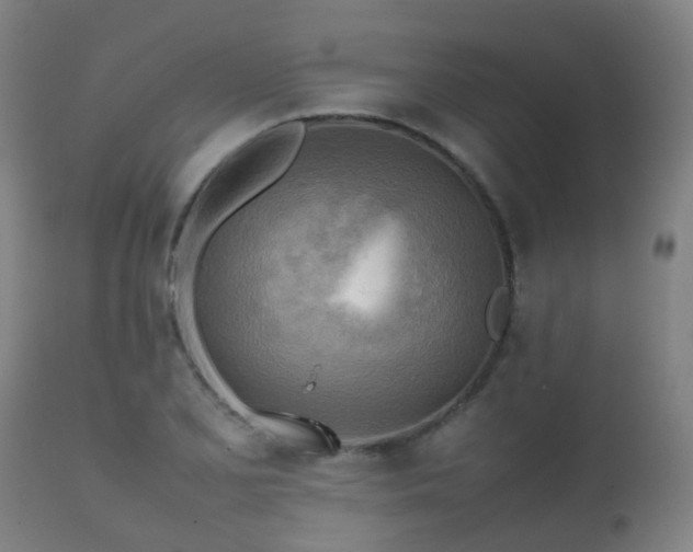 X0000112091077200908111347