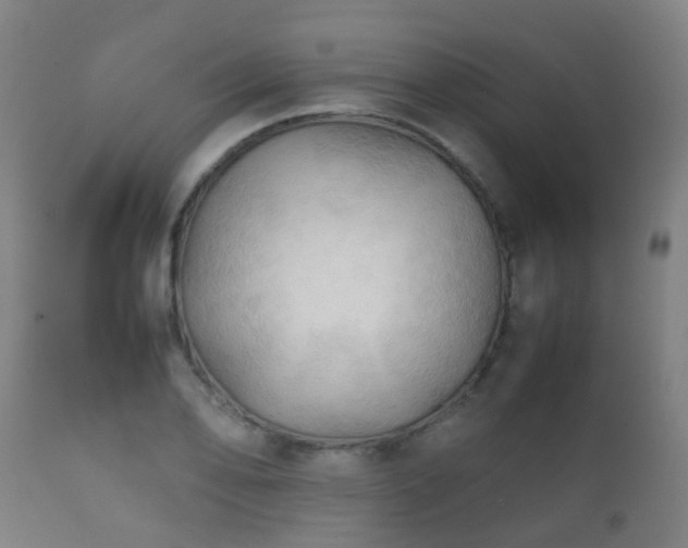 X0000112091078200908111347