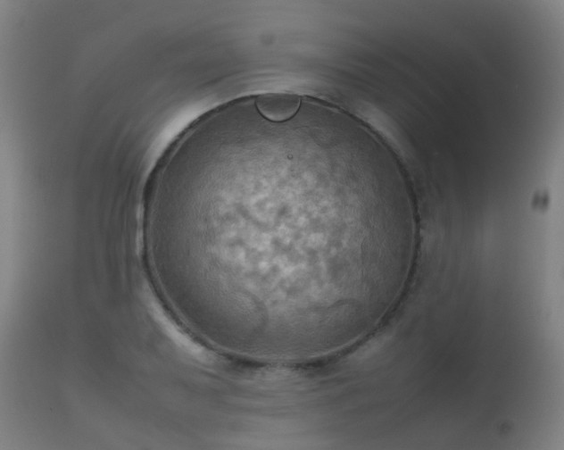 X0000112091079200908111347