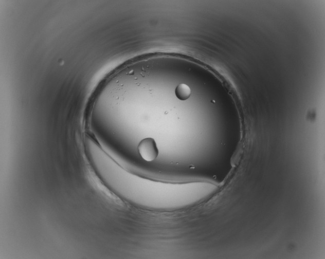 X0000112091080200908111347