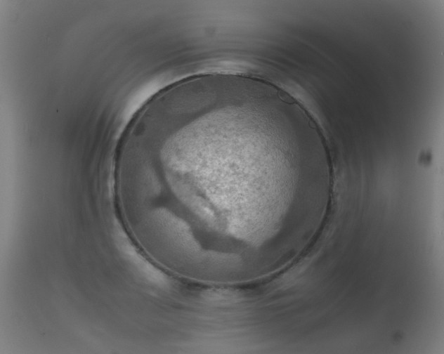 X0000112091083200908111347