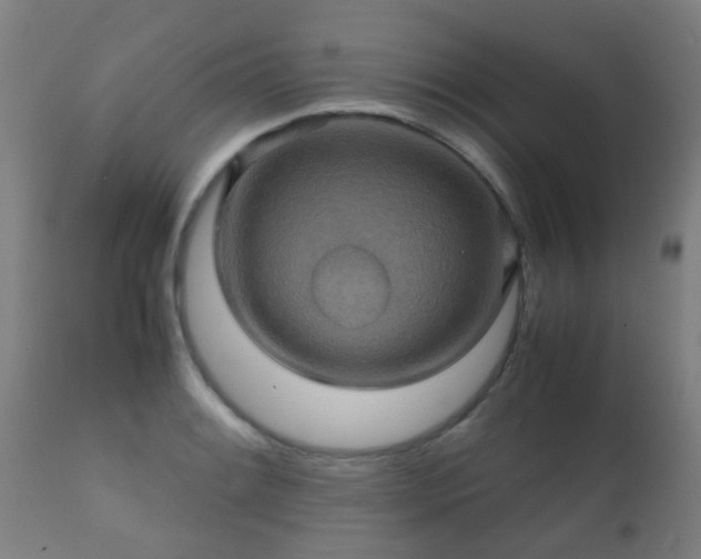 X0000112091084200908111347