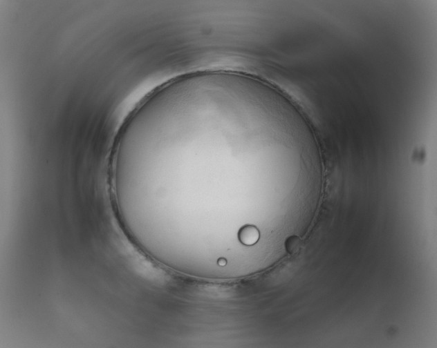 X0000112091086200908111347