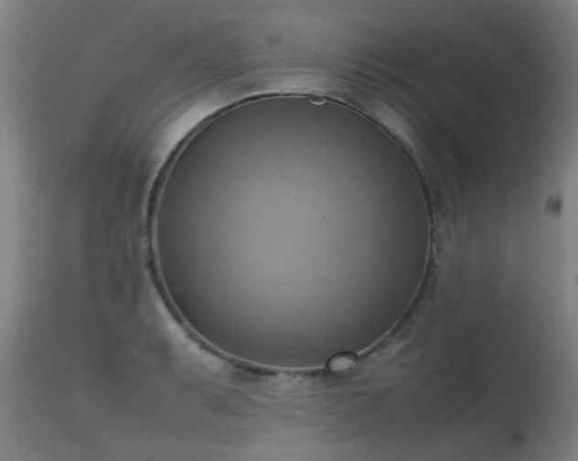 X0000112091087200908111347