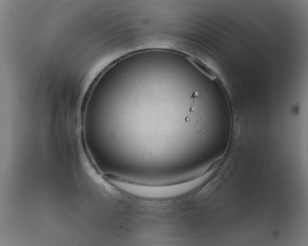 X0000112091088200908111347