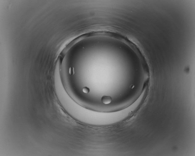 X0000112091089200908111347