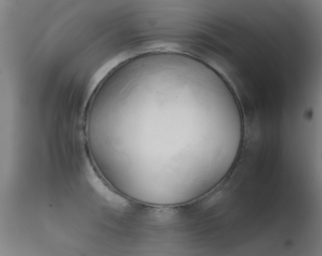 X0000112091090200908111347