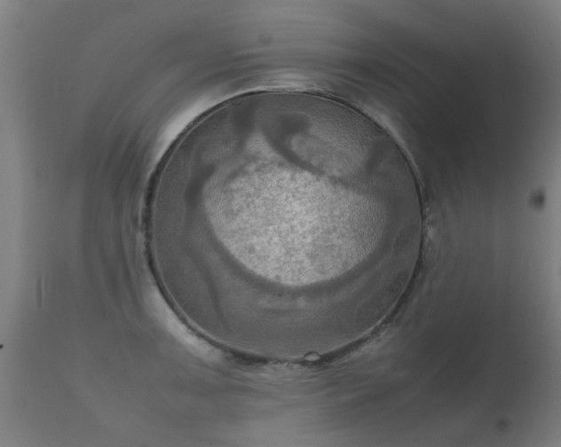 X0000112091091200908111347