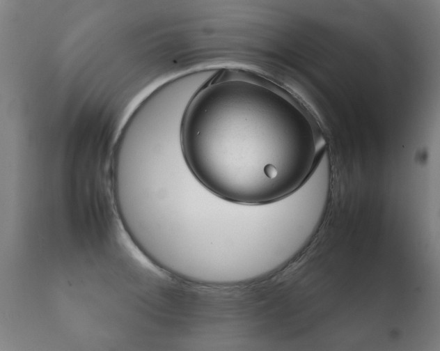 X0000112091092200908111347