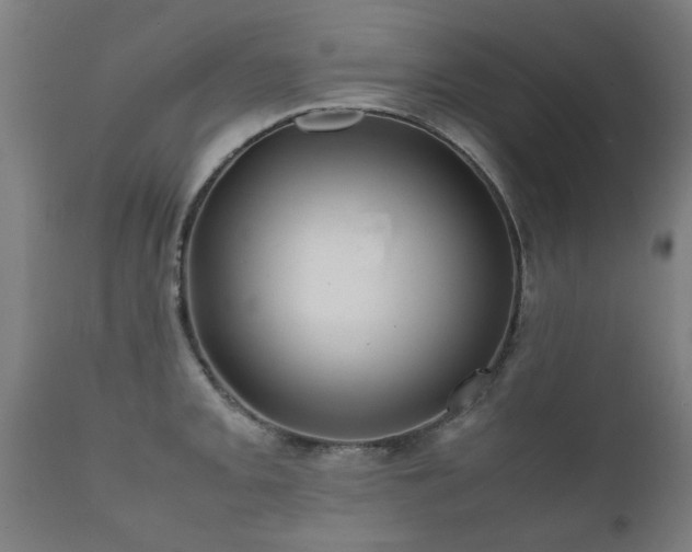 X0000112091093200908111347