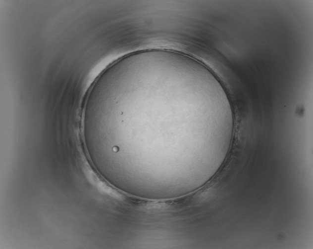 X0000112091094200908111347