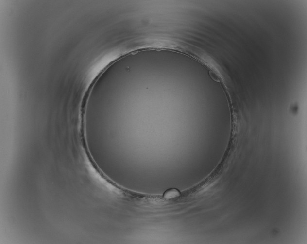 X0000112091095200908111347