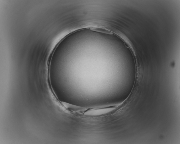 X0000112091096200908111347