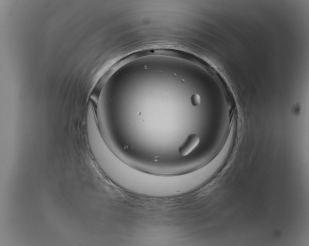 X0000112091097200908111347