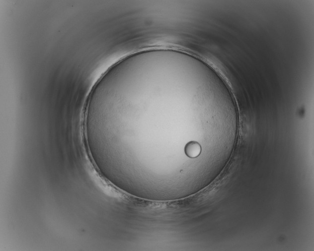 X0000112091098200908111347