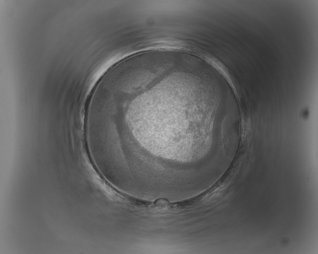 X0000112091099200908111347