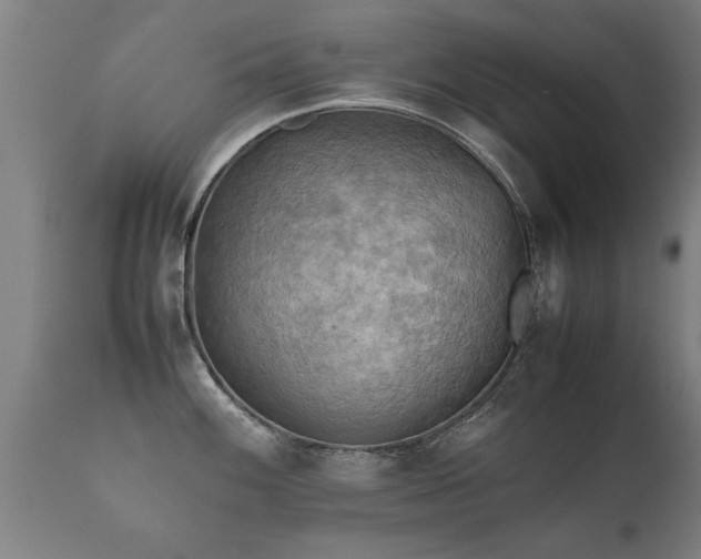 X0000112091100200908111347