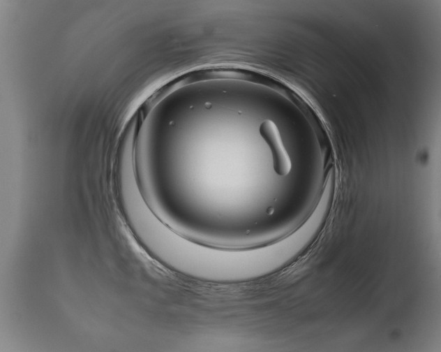 X0000112091101200908111347