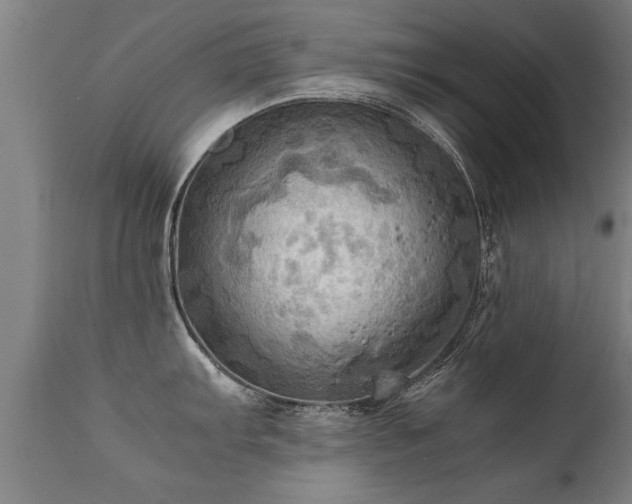 X0000112091103200908111347