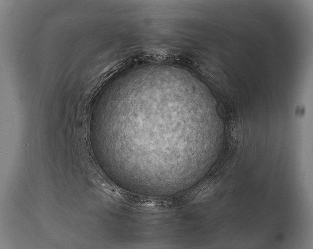 X0000112091105200908111346