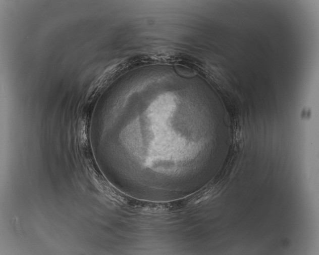 X0000112091106200908111346