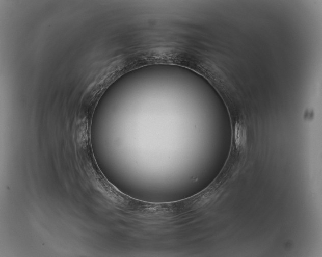 X0000112091107200908111346