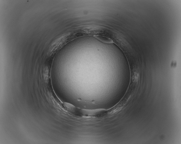 X0000112091108200908111346