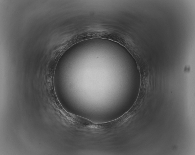 X0000112091109200908111346