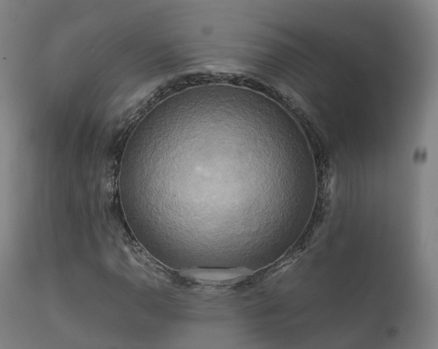 X0000112091110200908111346