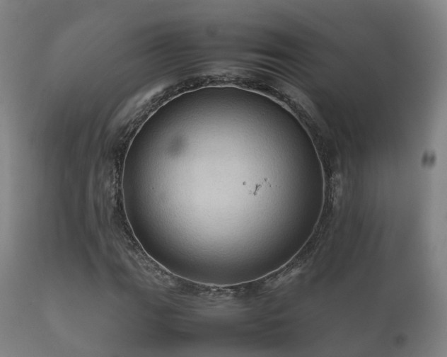 X0000112091111200908111346