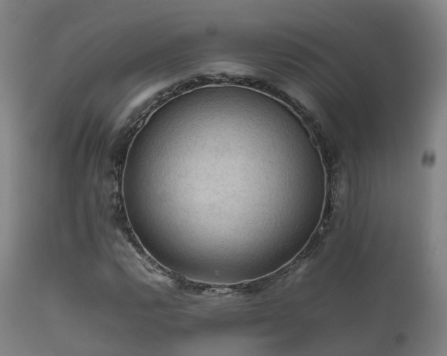 X0000112091112200908111346