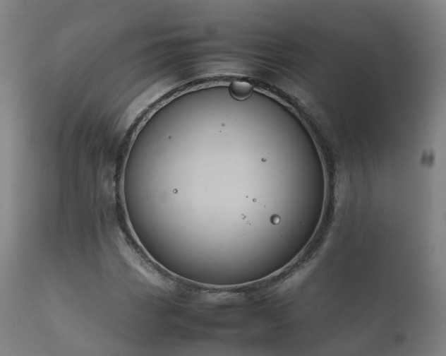 X0000112091113200908111346