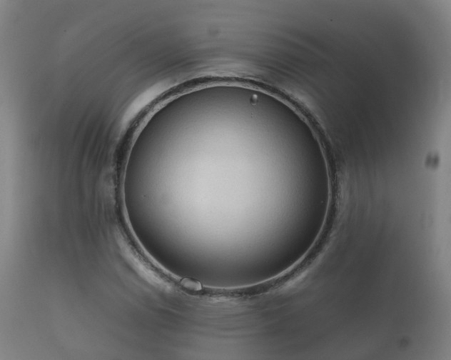 X0000112091114200908111346