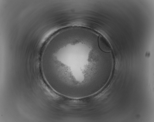 X0000112091115200908111346