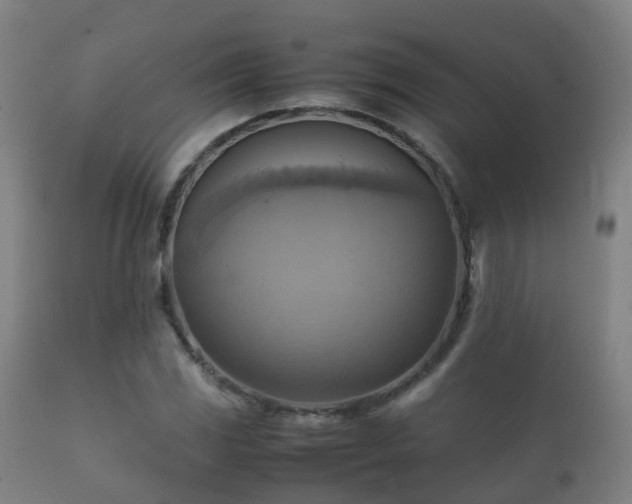 X0000112091117200908111346