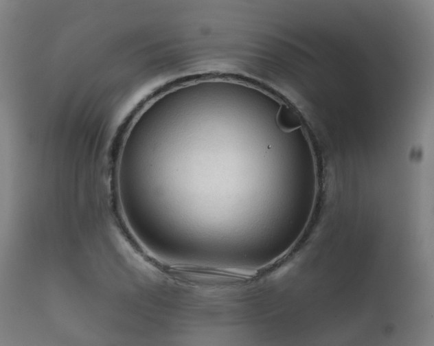 X0000112091118200908111346