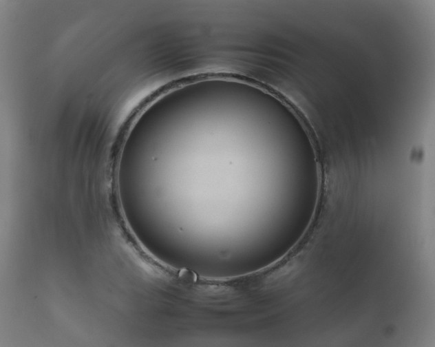 X0000112091119200908111346