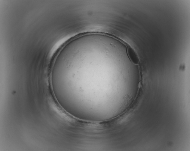 X0000112091120200908111346